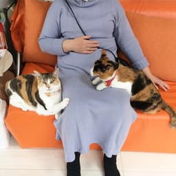 Cat Cafe Asakusa Neko-en