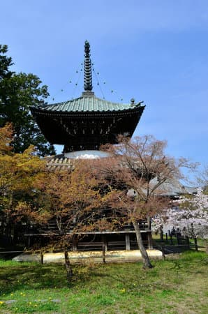 Seiryōji (Saga Shakadō) Temple