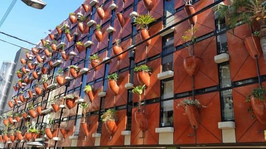 Osaka Organic Building