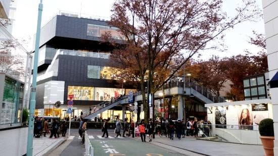 Higuma Doughnuts × Coffee Wrights Omotesando