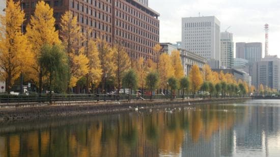Kokyo Gaien National Garden
