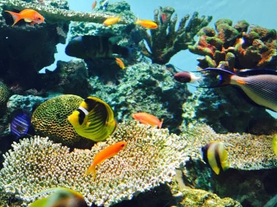 Tokyo Sea Life Park