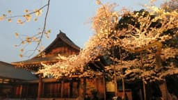 Yasukuni Shrine
