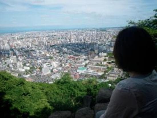 Maruyama Summit