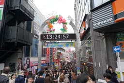 Pet Paradise Harajuku