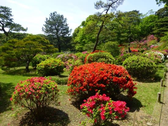 Rikugien Gardens