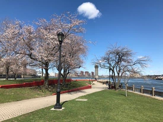 Roosevelt Island