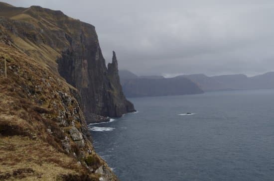 Trælanípa
