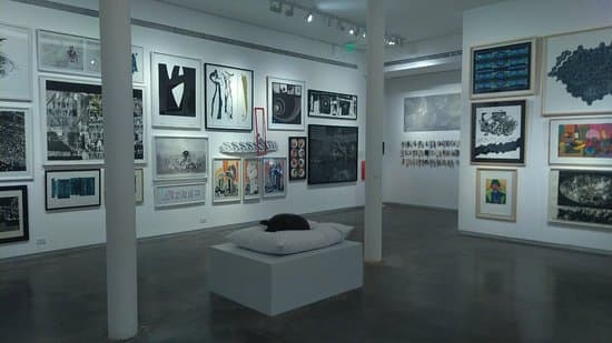 Museo Sívori