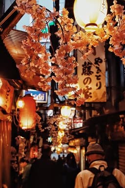 Omoide Yokocho Memory Lane
