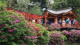 Yanaka District