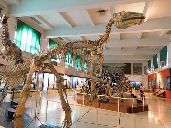 Bernardino Rivadavia Museum of Natural Science