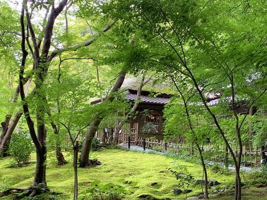 Giōji Temple