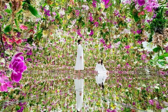 teamLab Planets TOKYO DMM