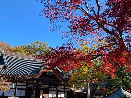 Jindaiji Temple