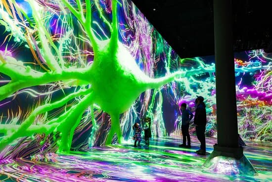 ARTECHOUSE NYC