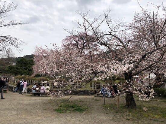 Maruyama Park