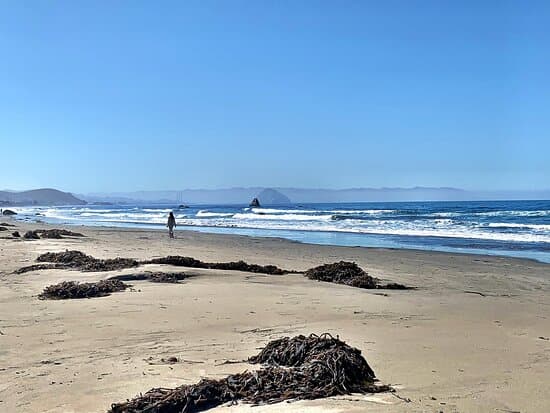 Cayucos Beach