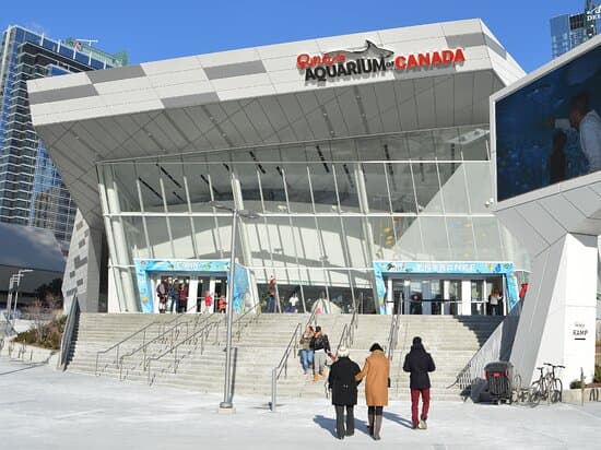 Ripley's Aquarium of Canada