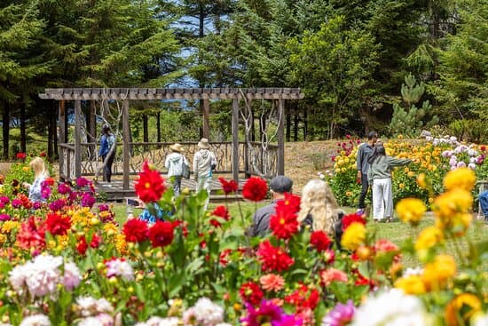 Mendocino Coast Botanical Gardens