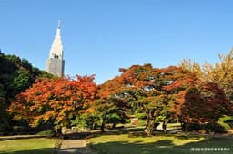 Shinjuku Gyoen National Garden