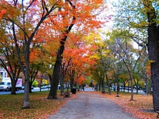 Emerald Necklace
