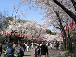 Ueno Park