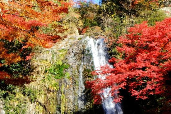 Minoh Park