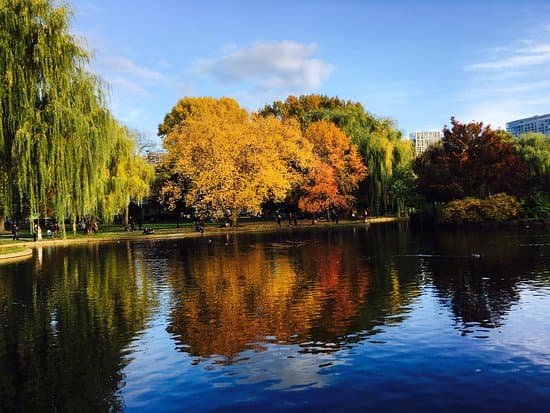 Public Garden