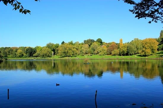 Hampstead Heath