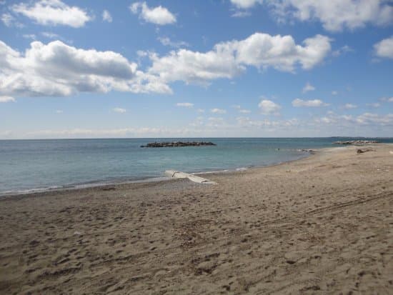 Woodbine Beach Park