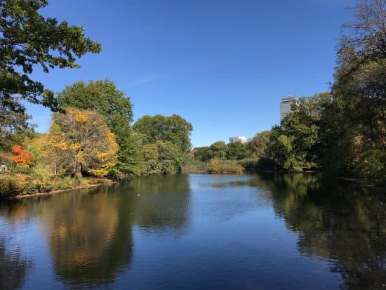 Back Bay Fens