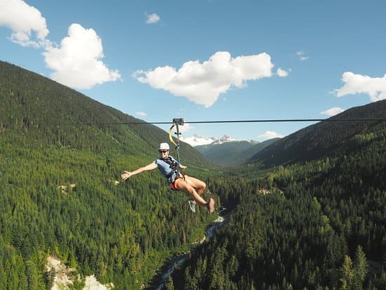 Ziptrek Ecotours
