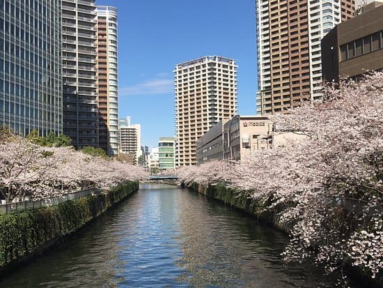 Meguro River