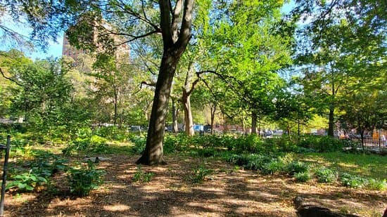 Tompkins Square Park