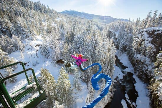 Whistler Bungee Bridge