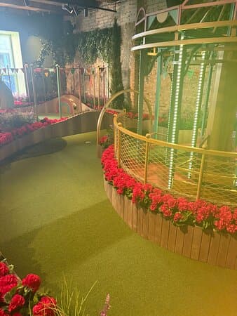 Swingers Back Bay