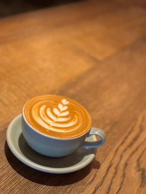 CAFE / Sensing Touch of Earth