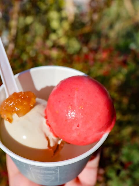 Eriko Osawa Earthly Gelato