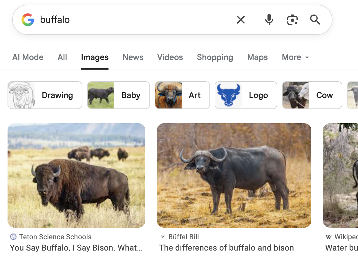 Buffalo search results