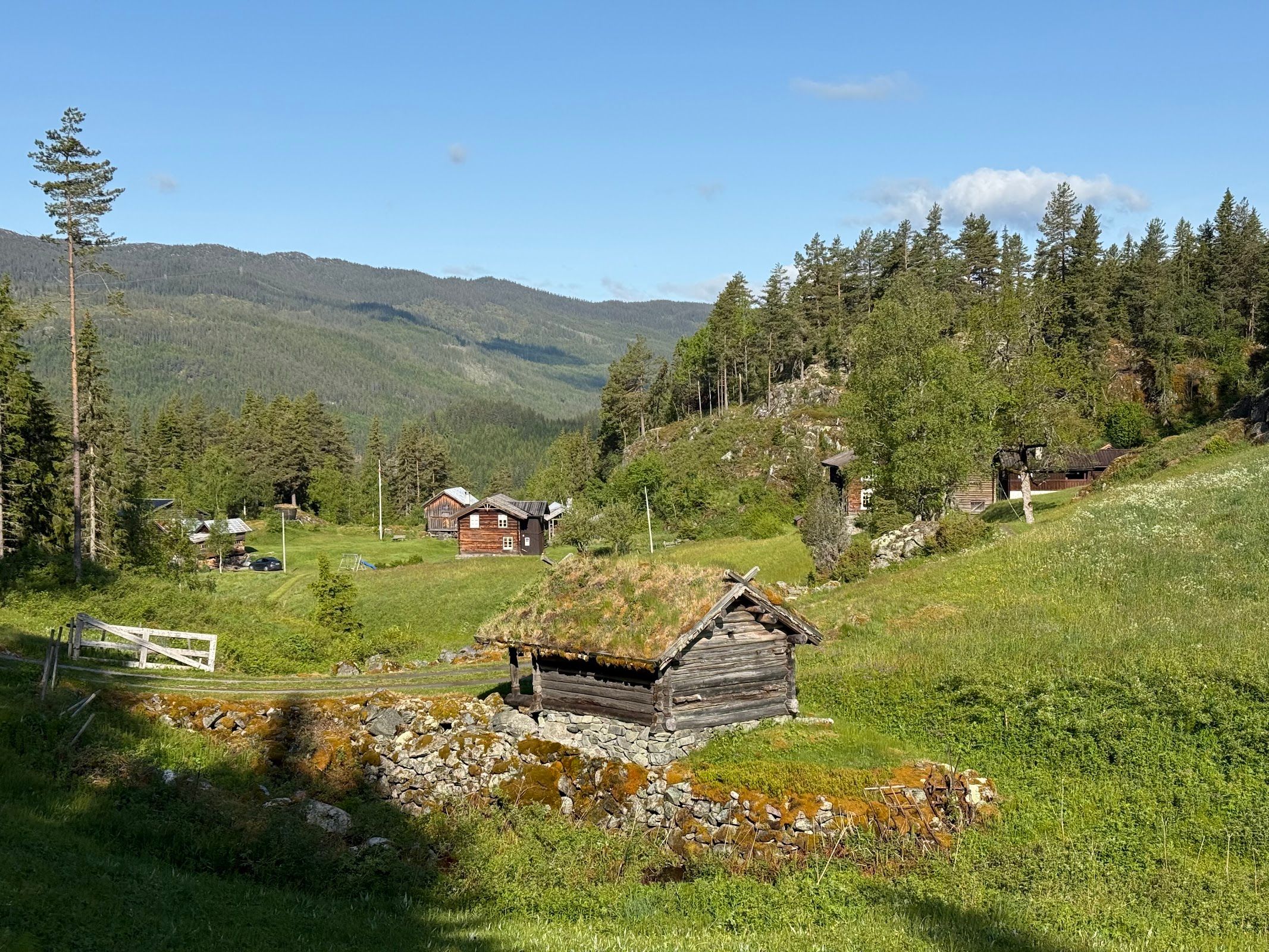 Vinje