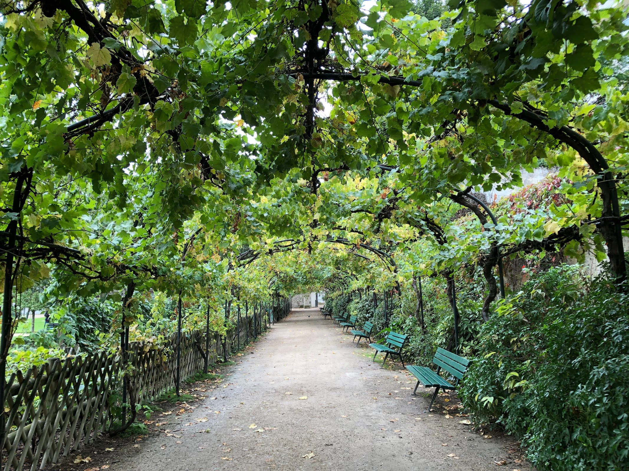 Jardin Catherine-Labouré