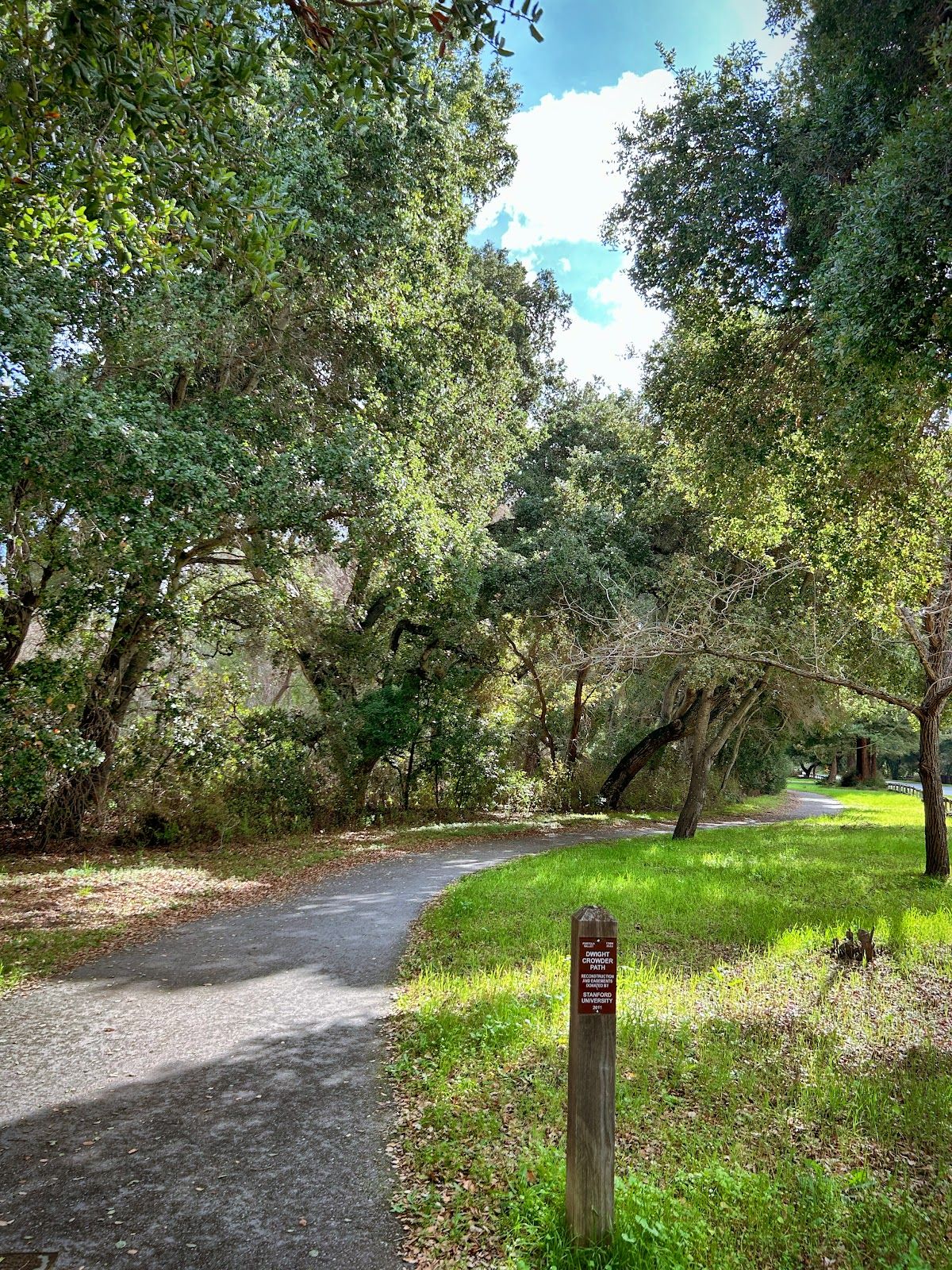 Alpine road bicycle trail
