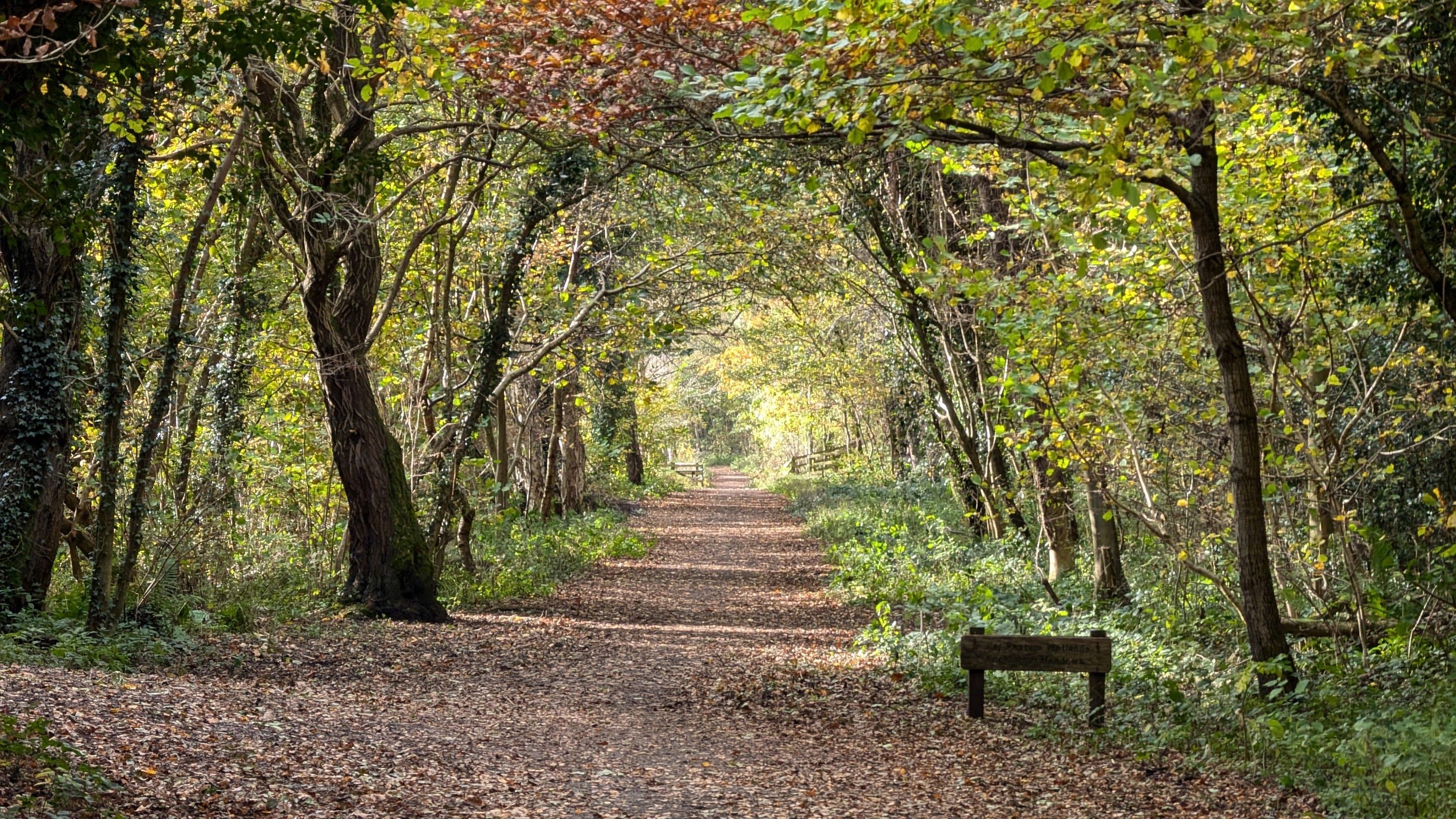Derwent Walk Country Park