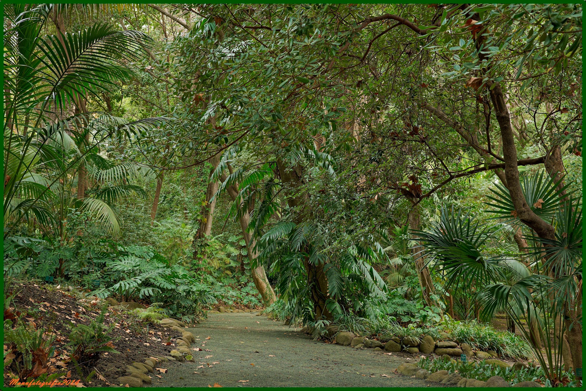 Jardín Botánico - Histórico La Concepción