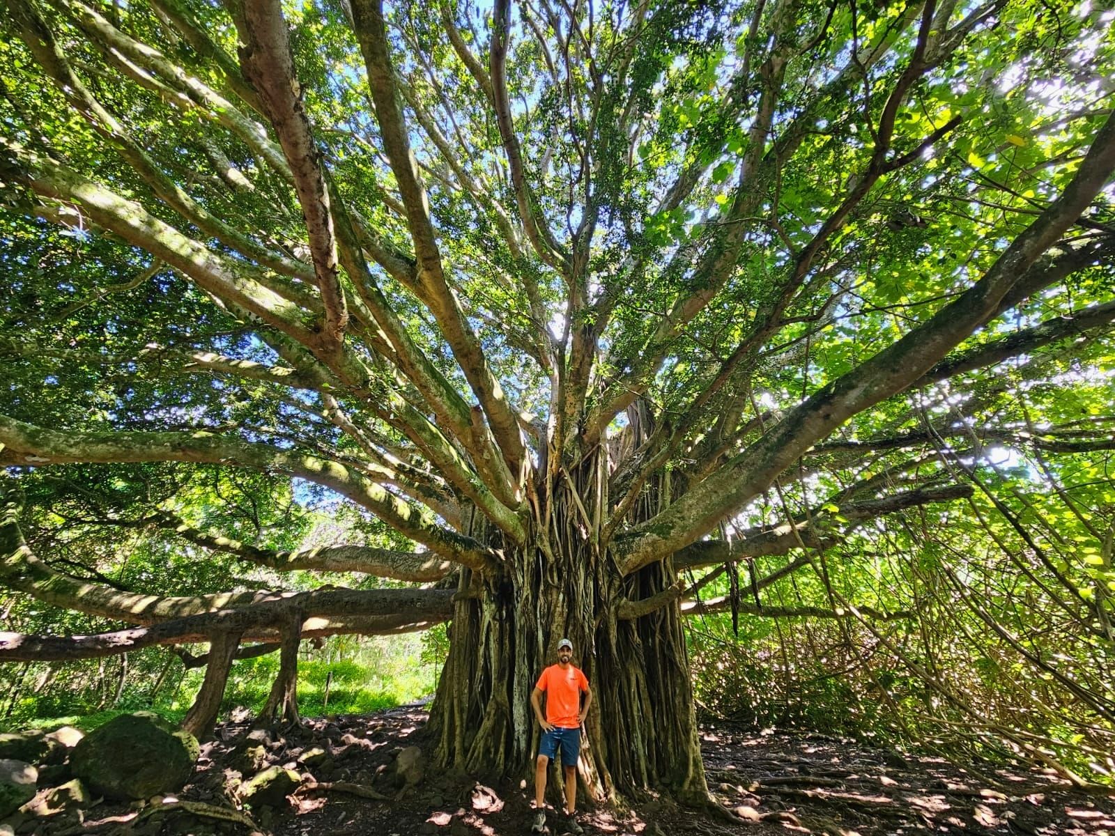 Pipiwai Trailhead
