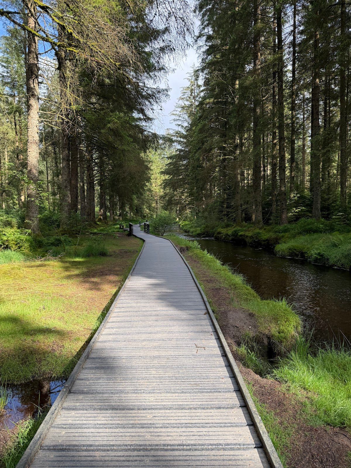 Hafren Forest Car Park Coedwig Hafren