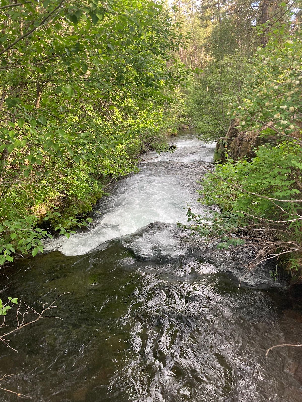 Lower Canyon Creek Campground