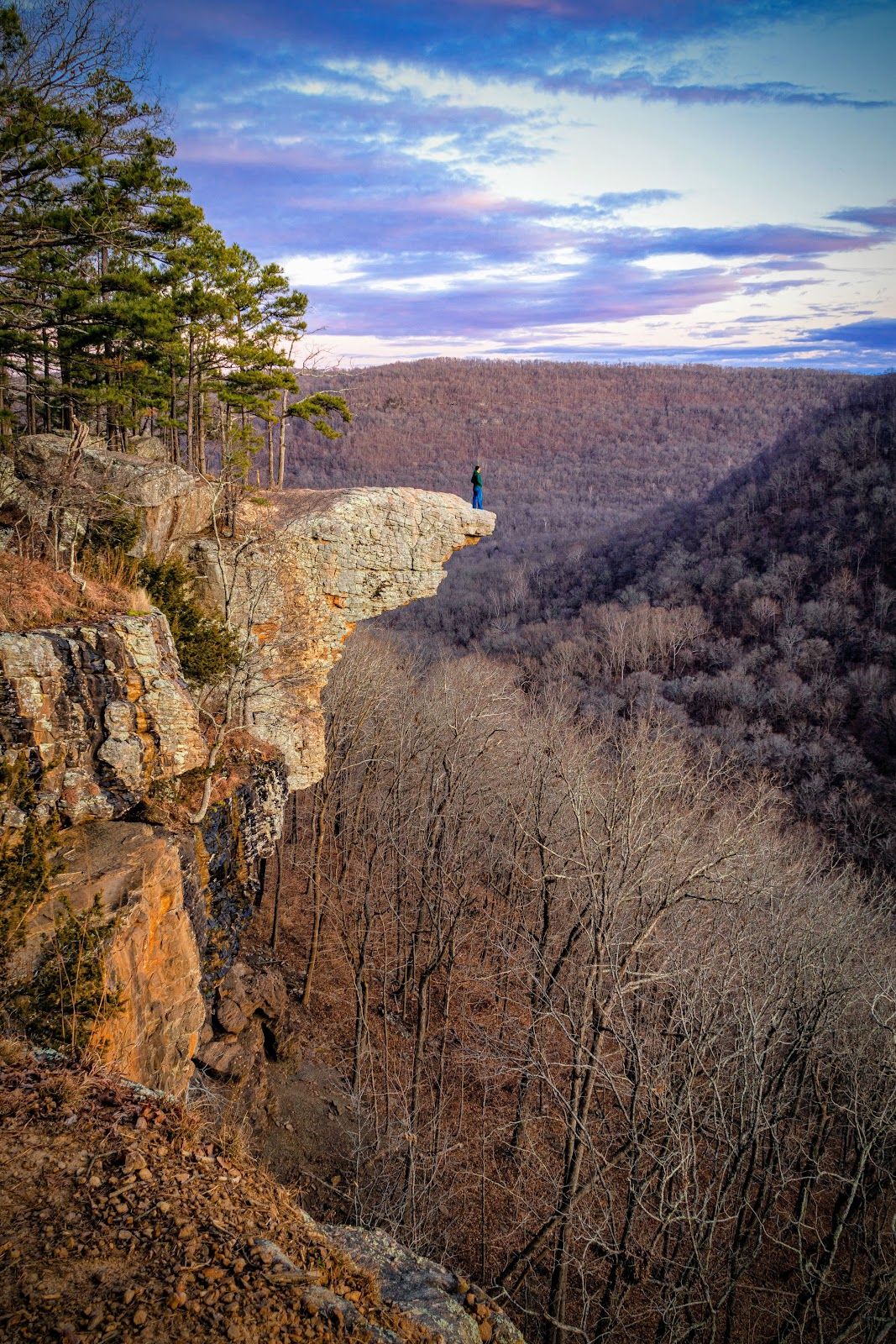 Whitaker Point