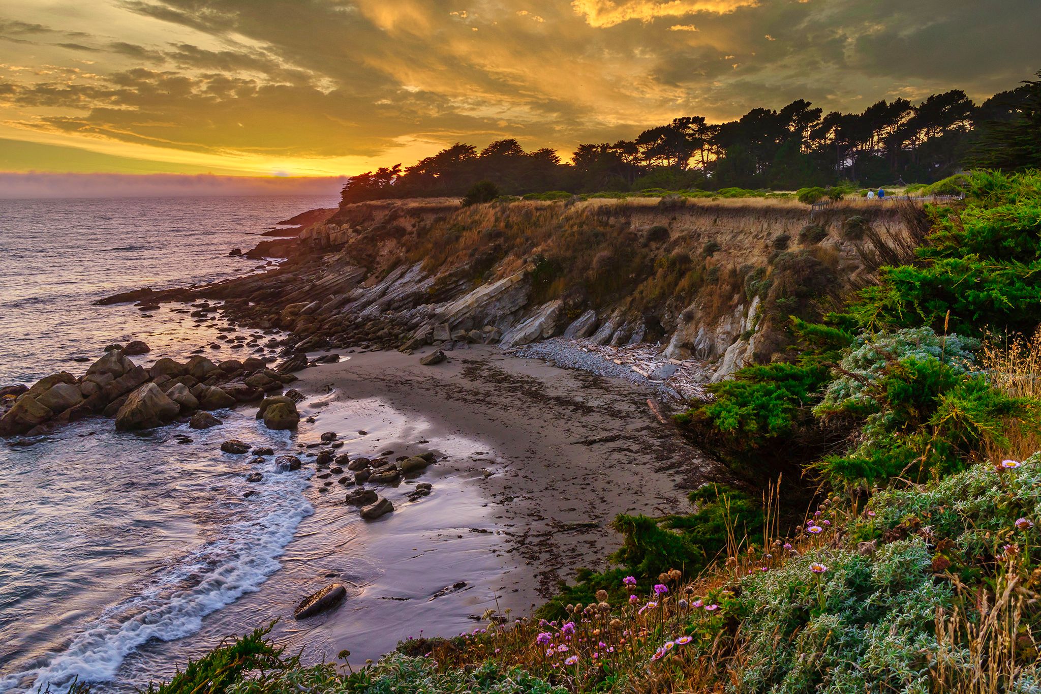 Gualala Point Regional Park
